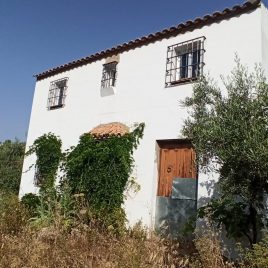 Parcela Olivar En Venta Olvera Cadiz 48000m2 Casa
