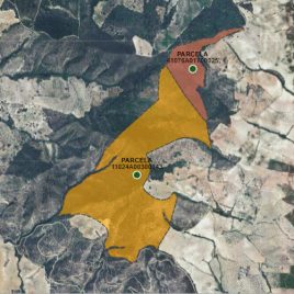 Olivar Monte 140 fanegas de Tierra – 840000m2 de Tierra – Pruna Olvera